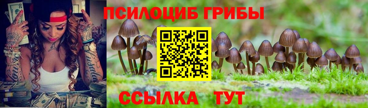Псилоцибиновые грибы Cubensis Кисловодск