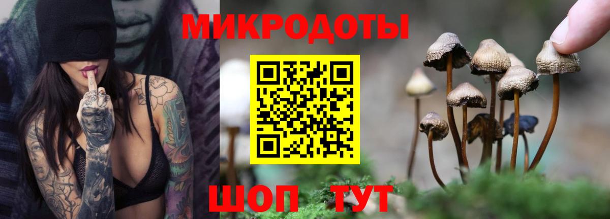 Кисловодск  Галлюциногенные грибы Cubensis  Вход с VPN  Псилоцибиновые грибы Cubensis 